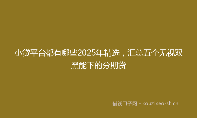小贷平台都有哪些2025年精选，汇总五个无视双黑能下的分期贷