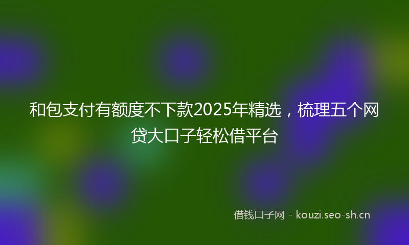 和包支付有额度不下款2025年精选，梳理五个网贷大口子轻松借平台