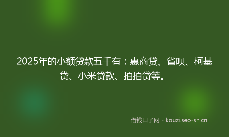 2025年的小额贷款五千有：惠商贷、省呗、柯基贷、小米贷款、拍拍贷等。