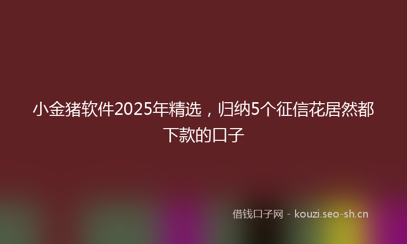 小金猪软件2025年精选，归纳5个征信花居然都下款的口子