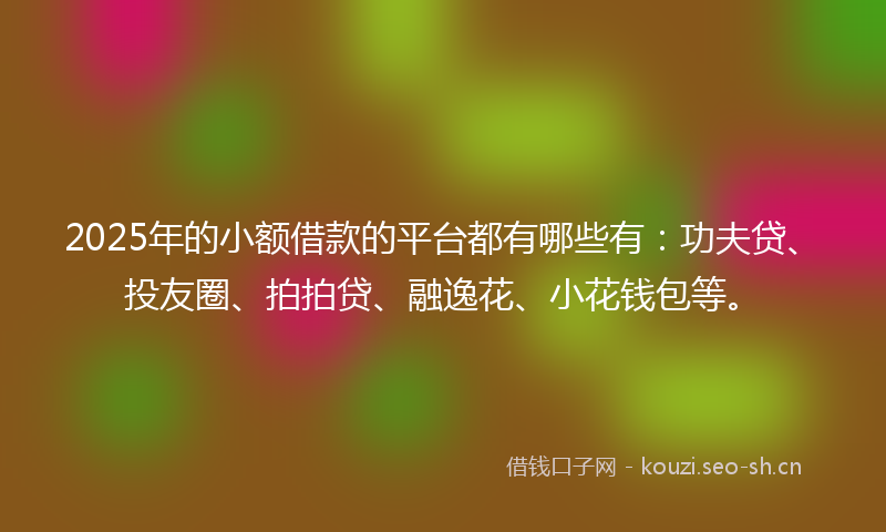 2025年的小额借款的平台都有哪些有:功夫贷、投友圈、拍拍贷、融逸花、小花钱包等。