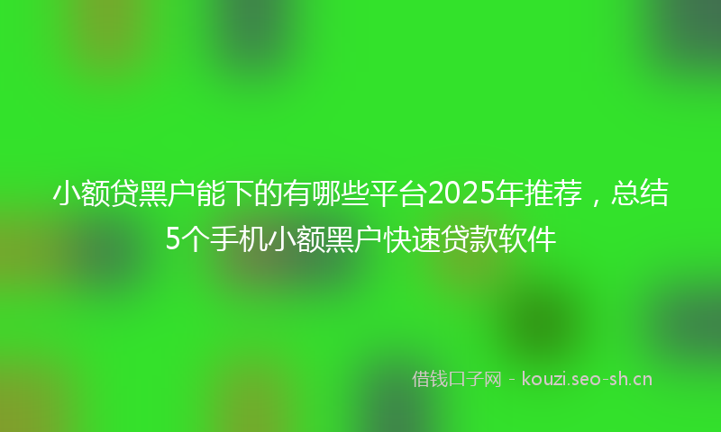 小额贷黑户能下的有哪些平台2025年推荐，总结5个手机小额黑户快速贷款软件