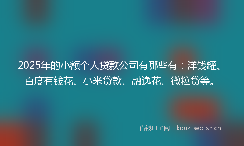 2025年的小额个人贷款公司有哪些有：洋钱罐、百度有钱花、小米贷款、融逸花、微粒贷等。