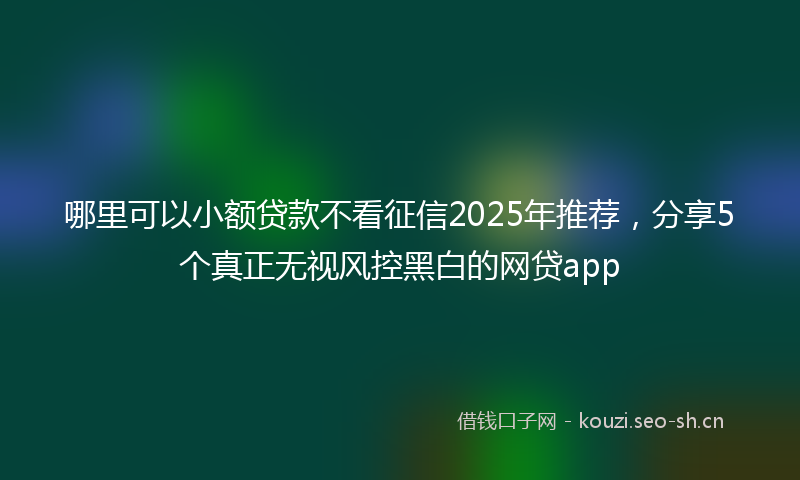 哪里可以小额贷款不看征信2025年推荐，分享5个真正无视风控黑白的网贷app