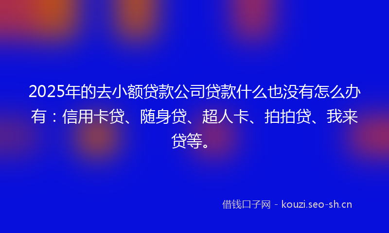 2025年的去小额贷款公司贷款什么也没有怎么办有：信用卡贷、随身贷、超人卡、拍拍贷、我来贷等。