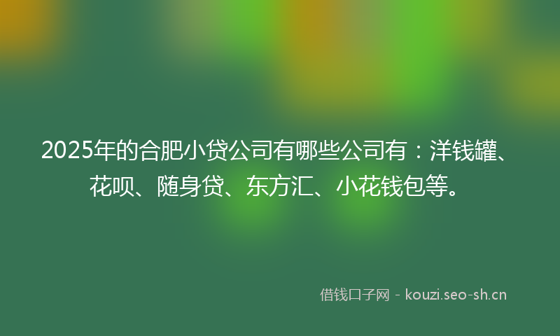2025年的合肥小贷公司有哪些公司有：洋钱罐、花呗、随身贷、东方汇、小花钱包等。