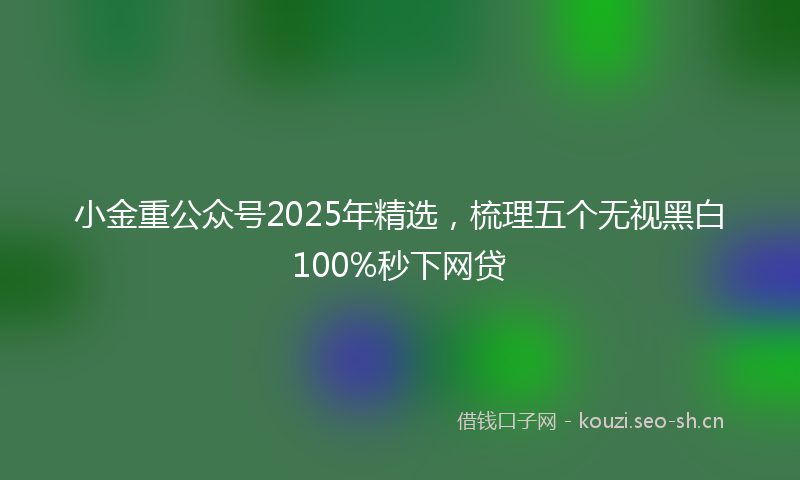 小金重公众号2025年精选，梳理五个无视黑白100%秒下网贷