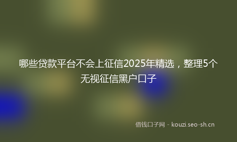 哪些贷款平台不会上征信2025年精选，整理5个无视征信黑户口子