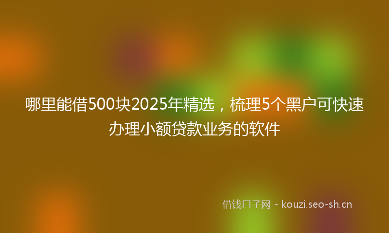 哪里能借500块2025年精选，梳理5个黑户可快速办理小额贷款业务的软件
