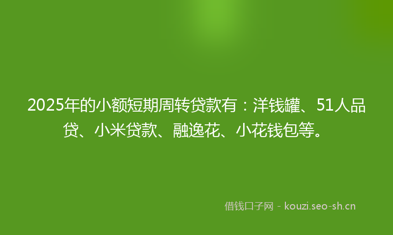2025年的小额短期周转贷款有：洋钱罐、51人品贷、小米贷款、融逸花、小花钱包等。