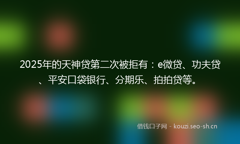 2025年的天神贷第二次被拒有：e微贷、功夫贷、平安口袋银行、分期乐、拍拍贷等。