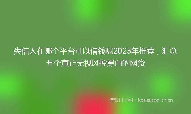 失信人在哪个平台可以借钱呢2025年推荐，汇总五个真正无视风控黑白的网贷