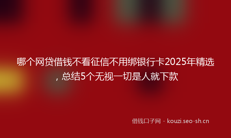 哪个网贷借钱不看征信不用绑银行卡2025年精选，总结5个无视一切是人就下款