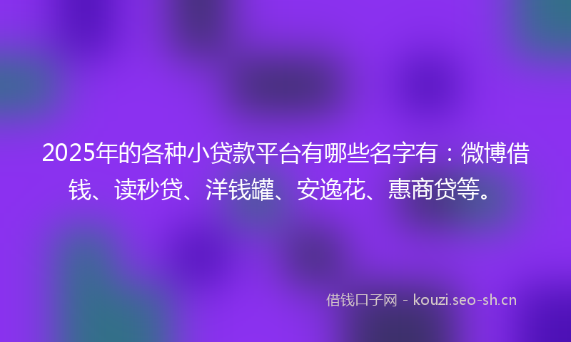 2025年的各种小贷款平台有哪些名字有：微博借钱、读秒贷、洋钱罐、安逸花、惠商贷等。