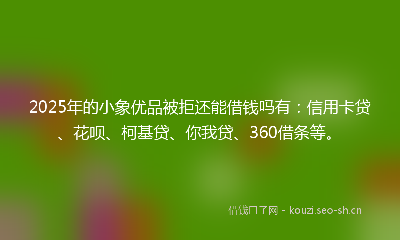 2025年的小象优品被拒还能借钱吗有:信用卡贷、花呗、柯基贷、你我贷、360借条等。