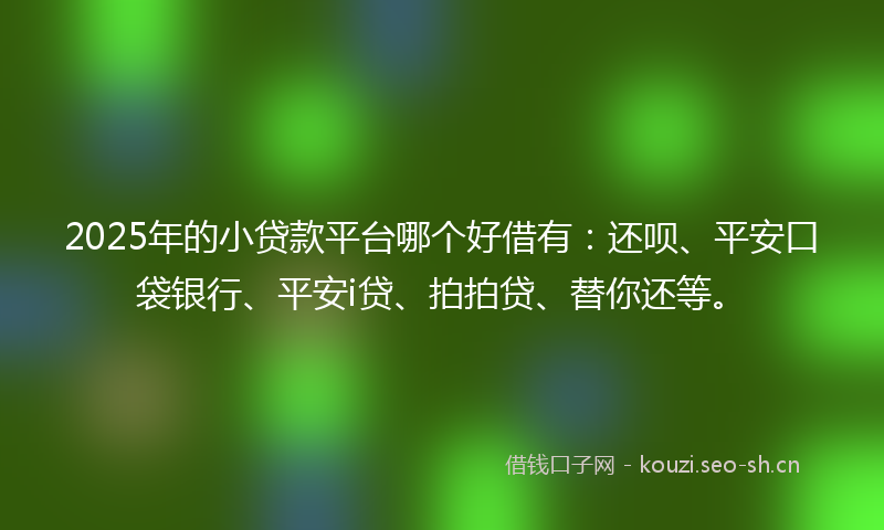 2025年的小贷款平台哪个好借有：还呗、平安口袋银行、平安i贷、拍拍贷、替你还等。