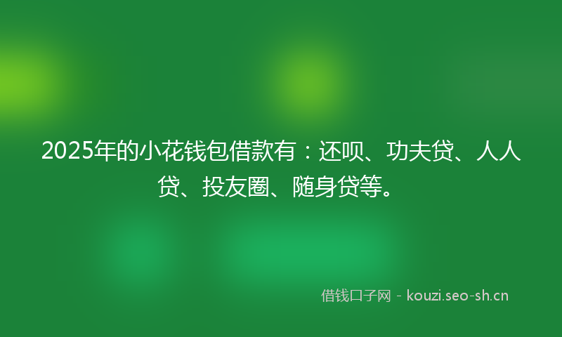 2025年的小花钱包借款有：还呗、功夫贷、人人贷、投友圈、随身贷等。