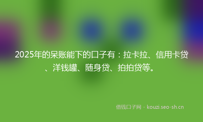 2025年的呆账能下的口子有：拉卡拉、信用卡贷、洋钱罐、随身贷、拍拍贷等。