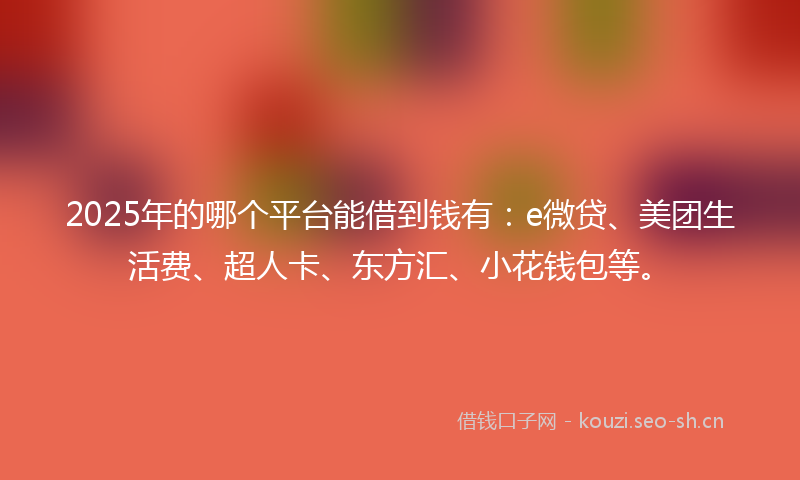 2025年的哪个平台能借到钱有：e微贷、美团生活费、超人卡、东方汇、小花钱包等。