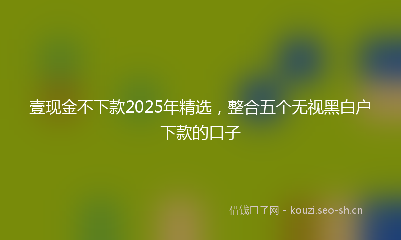 壹现金不下款2025年精选，整合五个无视黑白户下款的口子