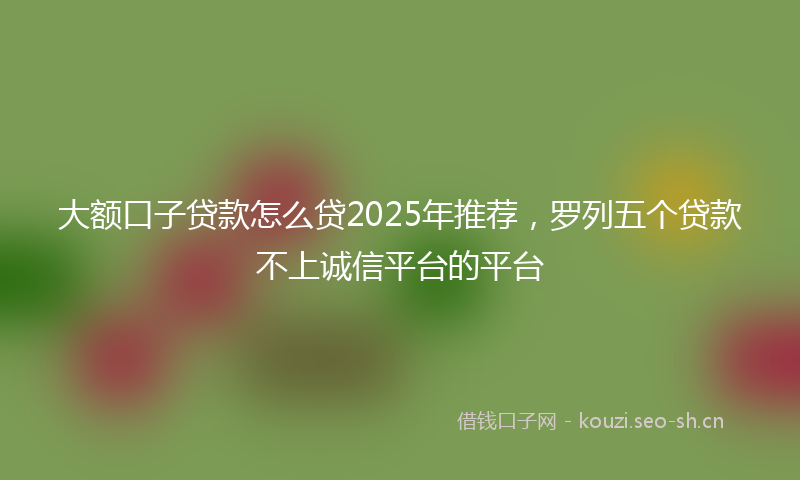 大额口子贷款怎么贷2025年推荐，罗列五个贷款不上诚信平台的平台