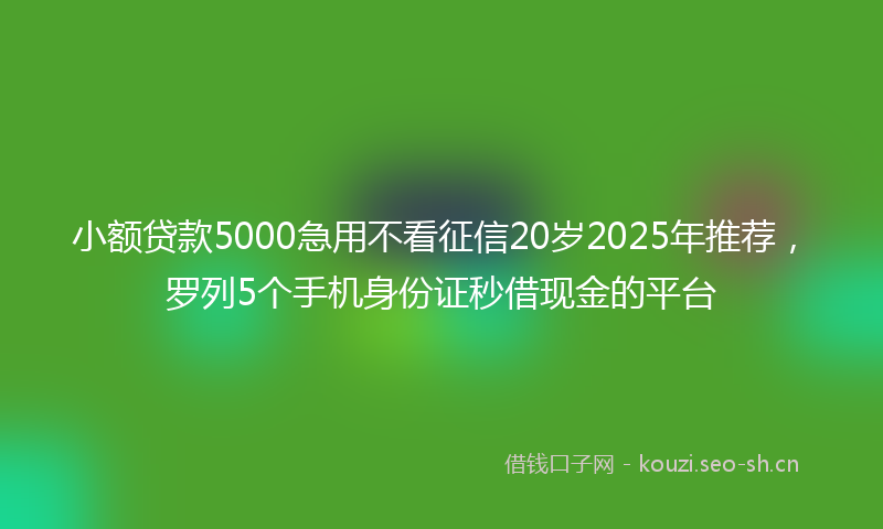 小额贷款5000急用不看征信20岁2025年推荐，罗列5个手机身份证秒借现金的平台