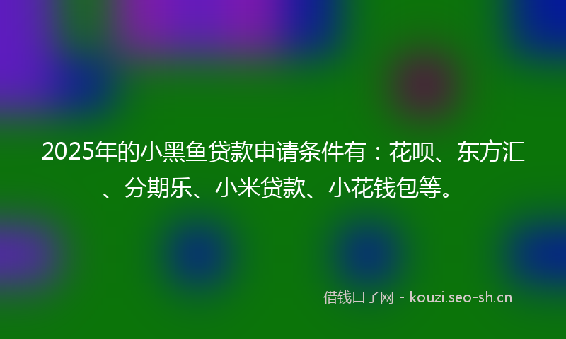 2025年的小黑鱼贷款申请条件有：花呗、东方汇、分期乐、小米贷款、小花钱包等。