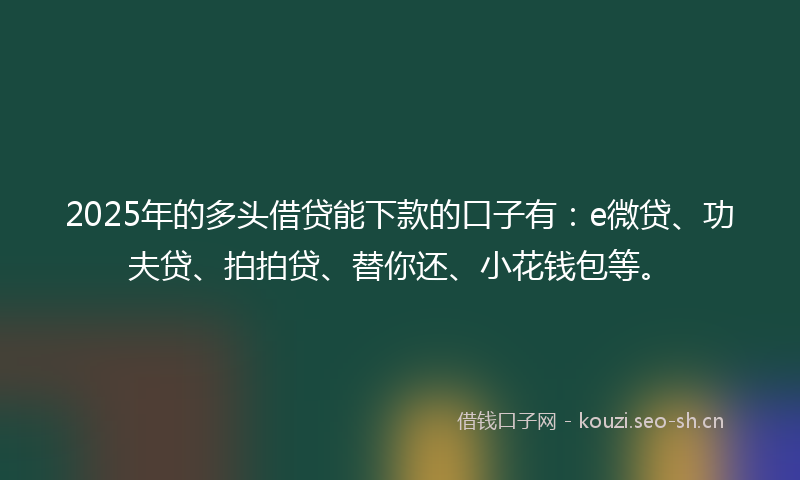 2025年的多头借贷能下款的口子有：e微贷、功夫贷、拍拍贷、替你还、小花钱包等。