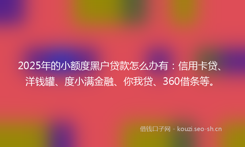 2025年的小额度黑户贷款怎么办有：信用卡贷、洋钱罐、度小满金融、你我贷、360借条等。