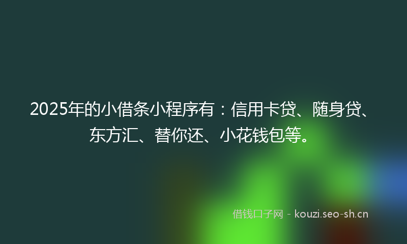 2025年的小借条小程序有：信用卡贷、随身贷、东方汇、替你还、小花钱包等。