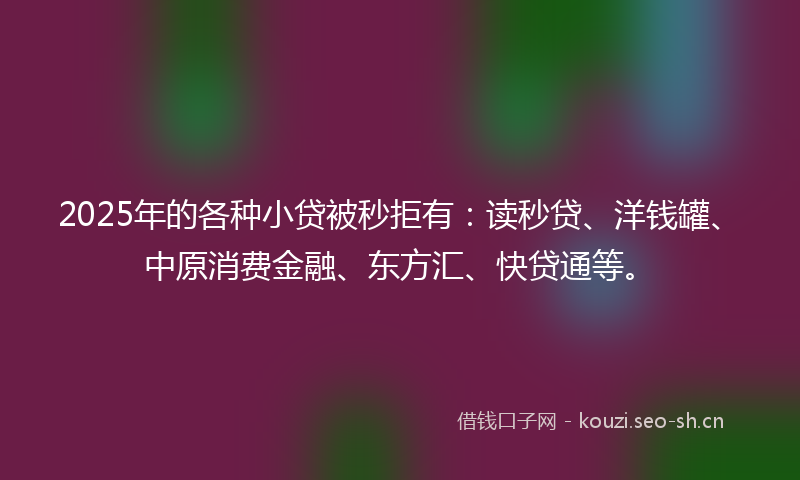 2025年的各种小贷被秒拒有：读秒贷、洋钱罐、中原消费金融、东方汇、快贷通等。