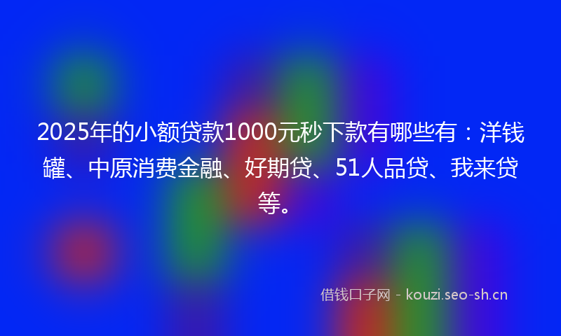 2025年的小额贷款1000元秒下款有哪些有：洋钱罐、中原消费金融、好期贷、51人品贷、我来贷等。