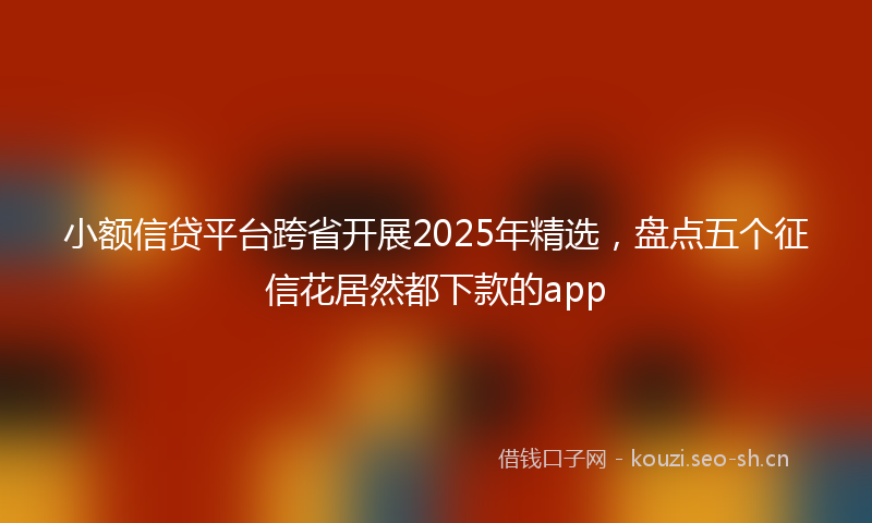 小额信贷平台跨省开展2025年精选，盘点五个征信花居然都下款的app