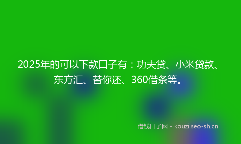 2025年的可以下款口子有:功夫贷、小米贷款、东方汇、替你还、360借条等。