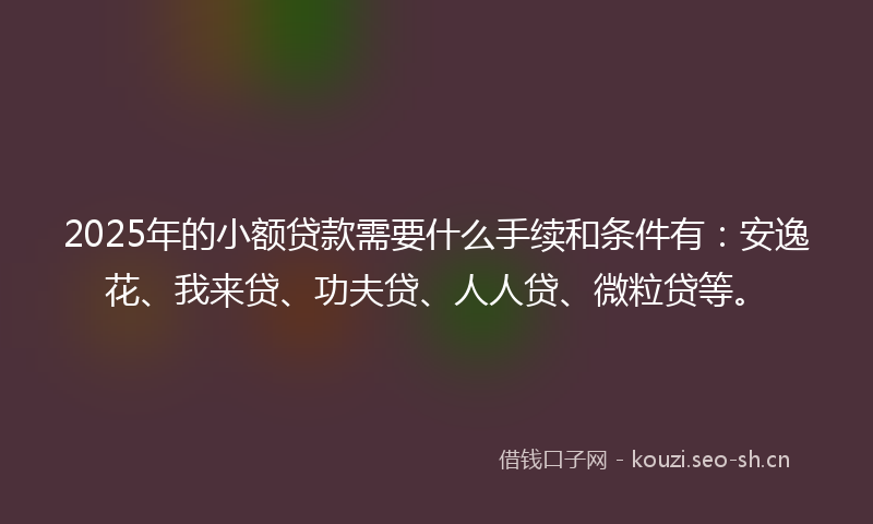 2025年的小额贷款需要什么手续和条件有：安逸花、我来贷、功夫贷、人人贷、微粒贷等。