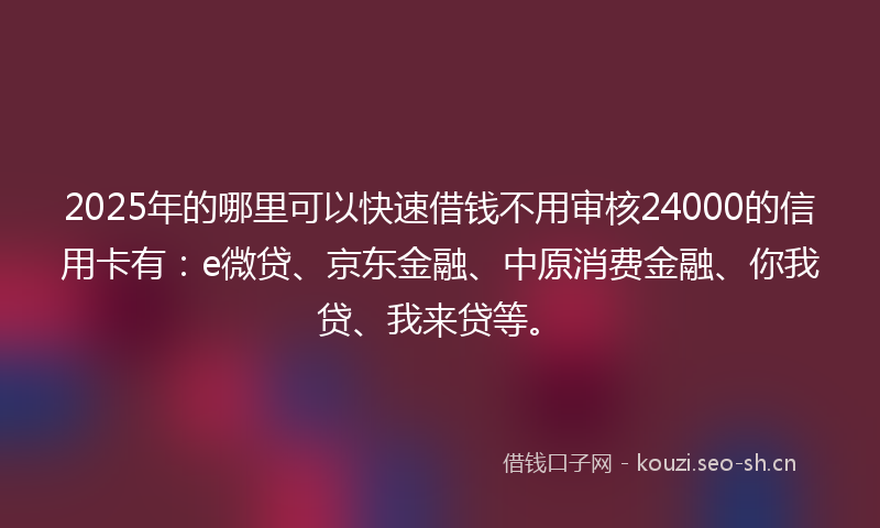 2025年的哪里可以快速借钱不用审核24000的信用卡有：e微贷、京东金融、中原消费金融、你我贷、我来贷等。
