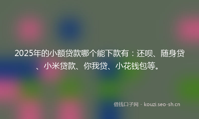 2025年的小额贷款哪个能下款有：还呗、随身贷、小米贷款、你我贷、小花钱包等。