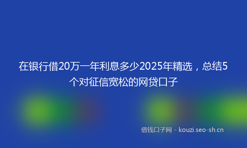 在银行借20万一年利息多少2025年精选，总结5个对征信宽松的网贷口子