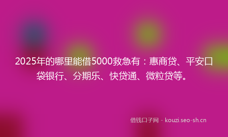 2025年的哪里能借5000救急有：惠商贷、平安口袋银行、分期乐、快贷通、微粒贷等。