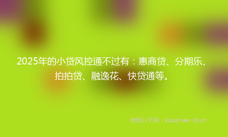 2025年的小贷风控通不过有：惠商贷、分期乐、拍拍贷、融逸花、快贷通等。