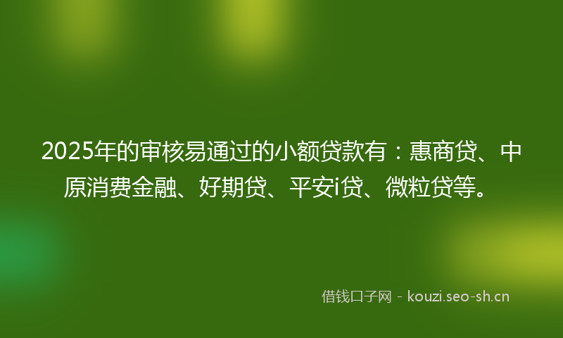 2025年的审核易通过的小额贷款有：惠商贷、中原消费金融、好期贷、平安i贷、微粒贷等。