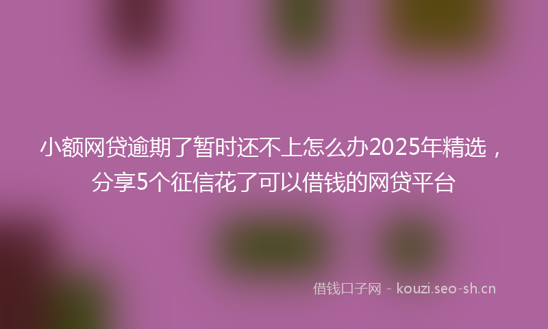 小额网贷逾期了暂时还不上怎么办2025年精选，分享5个征信花了可以借钱的网贷平台