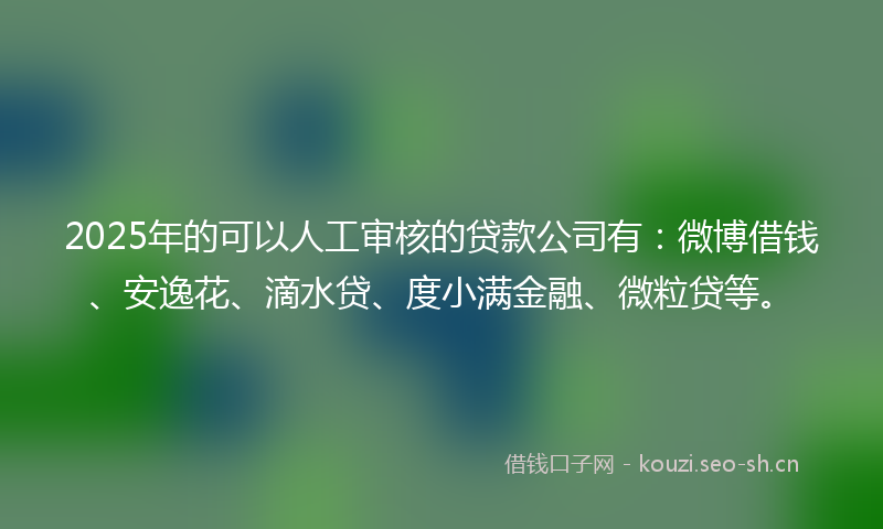 2025年的可以人工审核的贷款公司有：微博借钱、安逸花、滴水贷、度小满金融、微粒贷等。
