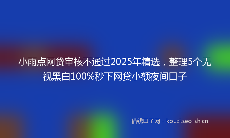 小雨点网贷审核不通过2025年精选，整理5个无视黑白100%秒下网贷小额夜间口子