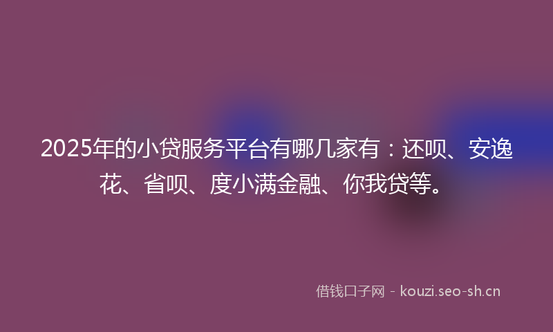 2025年的小贷服务平台有哪几家有：还呗、安逸花、省呗、度小满金融、你我贷等。