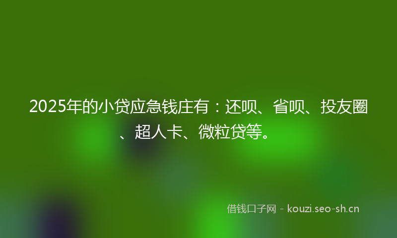 2025年的小贷应急钱庄有：还呗、省呗、投友圈、超人卡、微粒贷等。