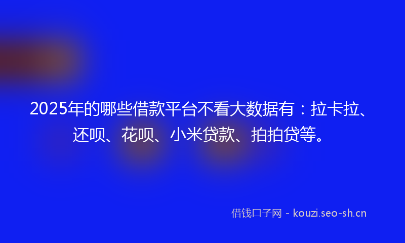 2025年的哪些借款平台不看大数据有：拉卡拉、还呗、花呗、小米贷款、拍拍贷等。