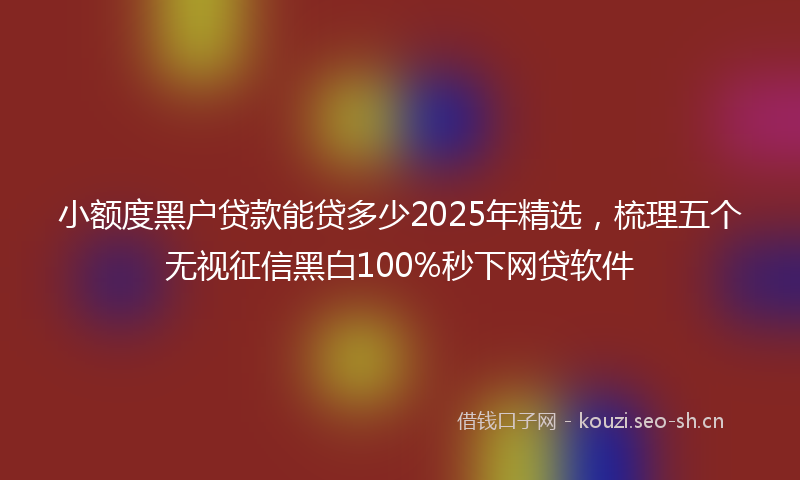 小额度黑户贷款能贷多少2025年精选，梳理五个无视征信黑白100%秒下网贷软件