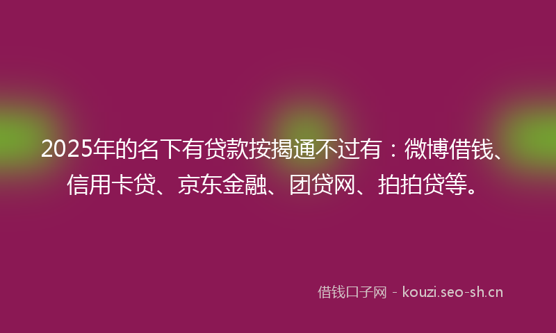 2025年的名下有贷款按揭通不过有：微博借钱、信用卡贷、京东金融、团贷网、拍拍贷等。