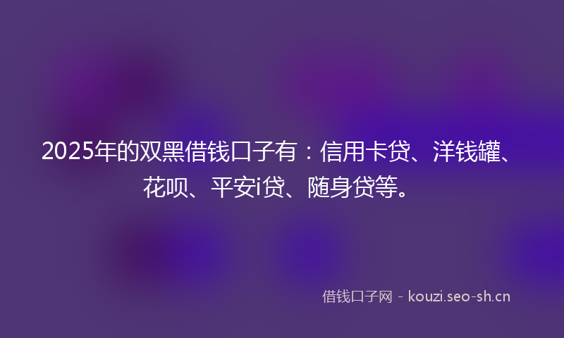 2025年的双黑借钱口子有：信用卡贷、洋钱罐、花呗、平安i贷、随身贷等。